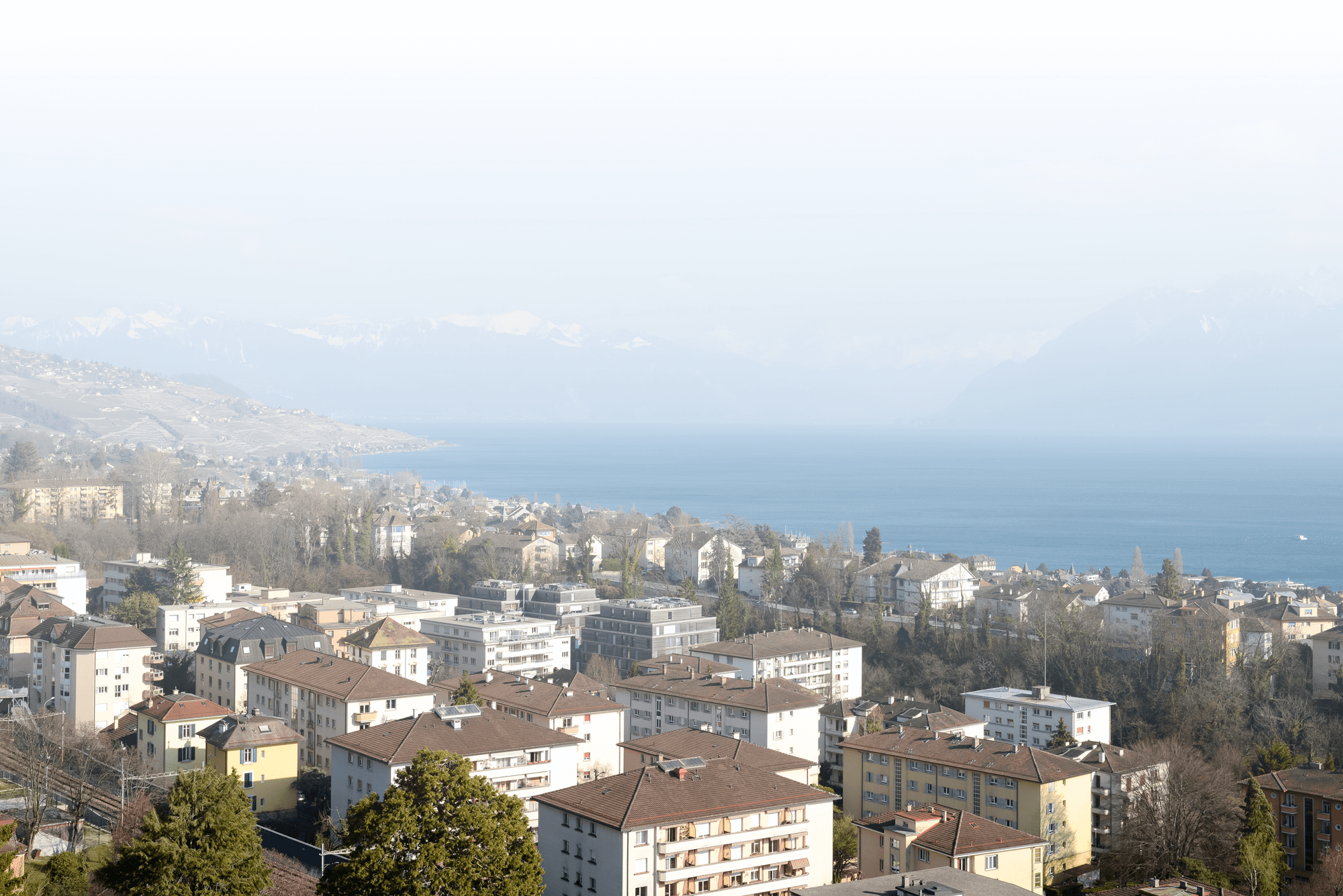 Image d'ambiance - Lac léman vu de Lausanne